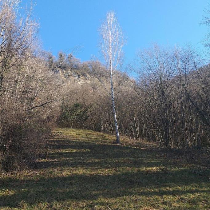 La Dependance Du Chateau De Triviers. Challes-les-Eaux Luaran gambar